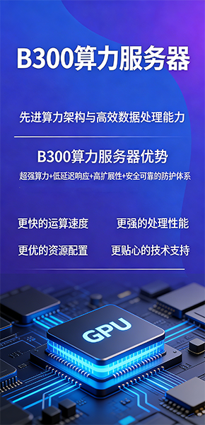 B300��������������